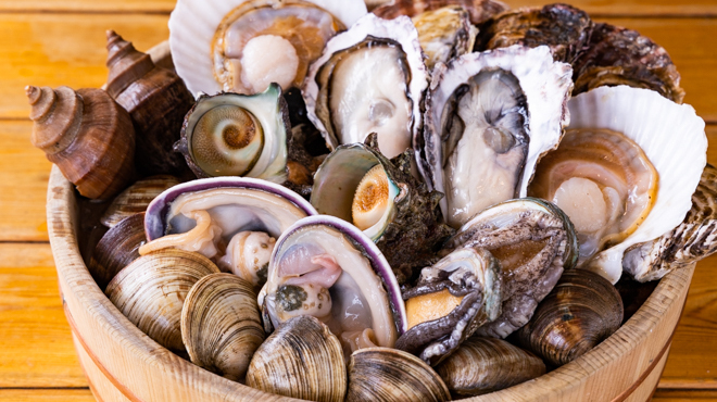 磯家波平 - メイン写真: