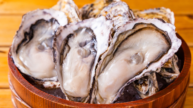 磯家波平 - メイン写真: