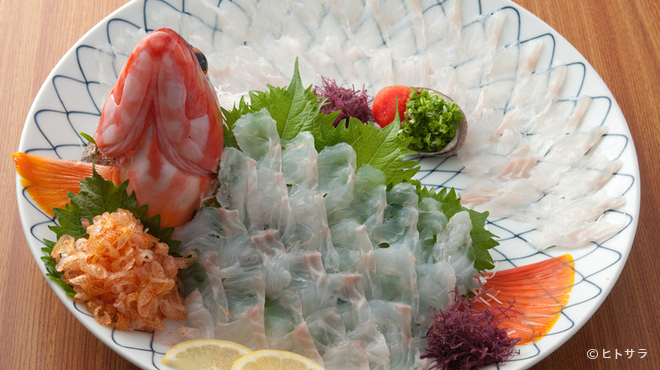 魚将　さかなちゃん - 料理写真:アコウ活け造り