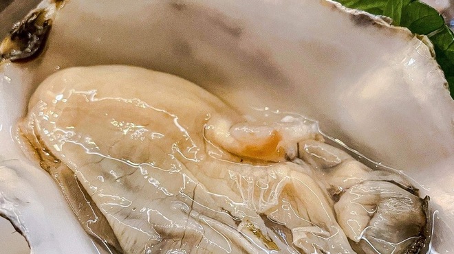 TOM TOKYO - メイン写真: