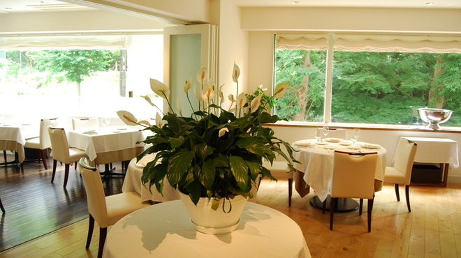 ミッシェル ナカジマ - メイン写真: