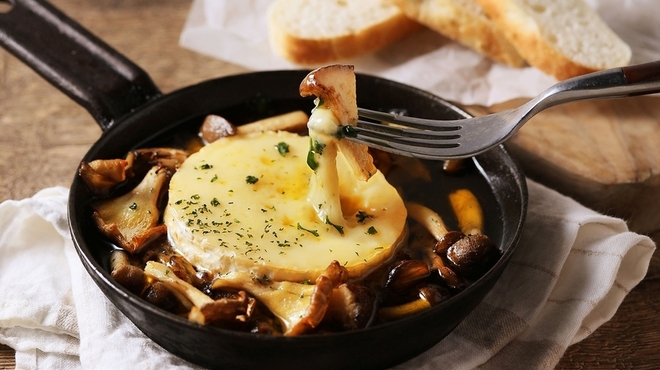 YURT - メイン写真: