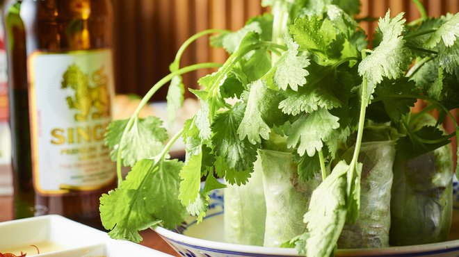 アジアンバルフロッグス - メイン写真: