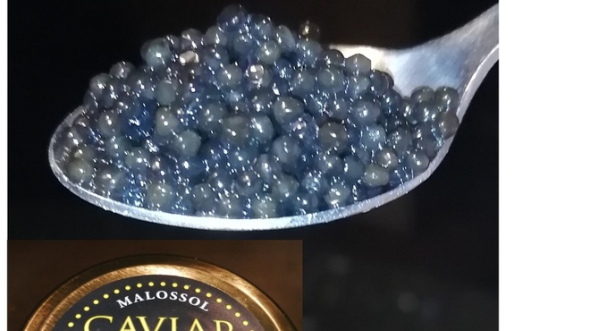 シャカ - メイン写真: