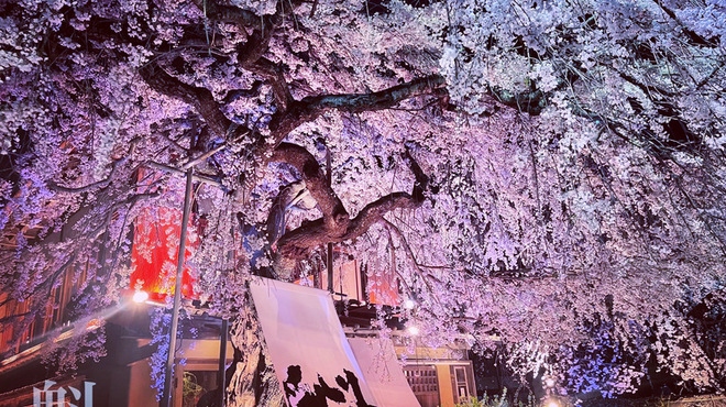 魁本店 - メイン写真: