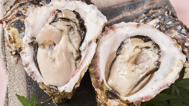 がんこ 魚美酒進 - メイン写真: