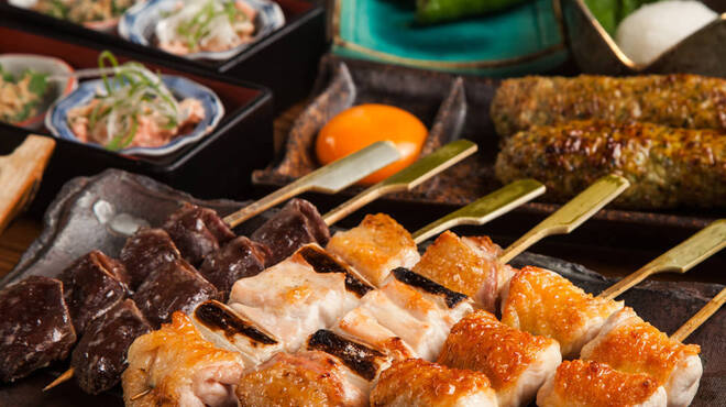 品川バードマン - メイン写真: