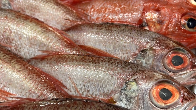 海鮮酒場わんす - メイン写真: