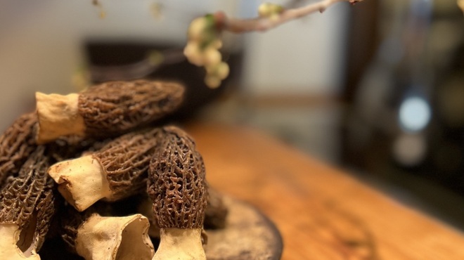 Osteria OLMO - 料理写真:フレッシュのモリーユ茸