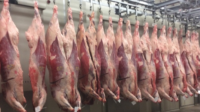 焼肉専科 肉の切り方 - メイン写真: