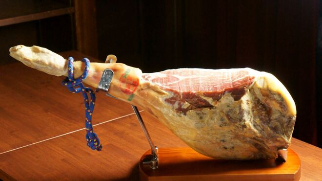 Hola！ Ginza7 - メイン写真: