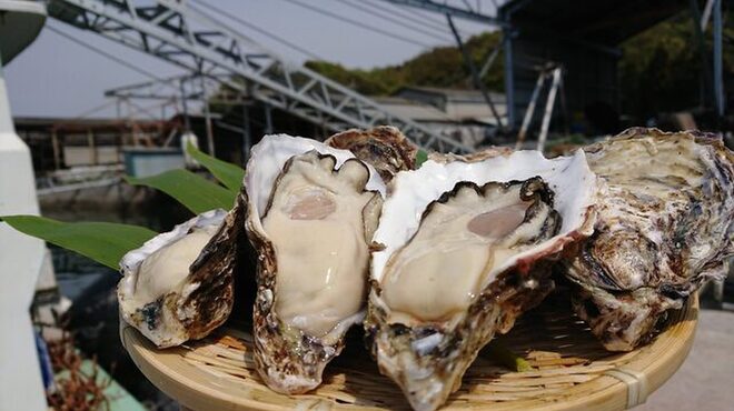 寿司 牡蠣 川崎スシエビス  仲見世通り - メイン写真: