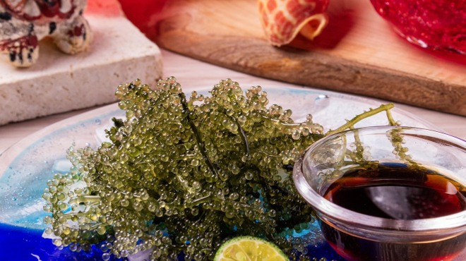 琉球酒場 ま～さんの家 - メイン写真: