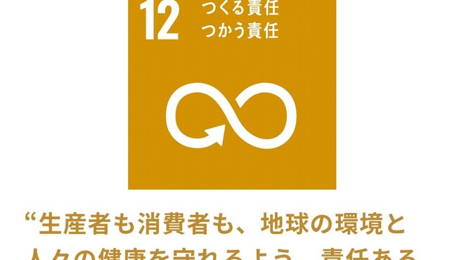 とらいち - その他写真: