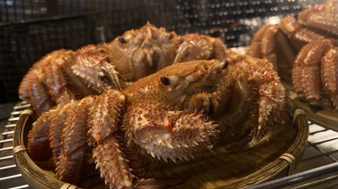 料理が美味いだけの店 若獅子 - メイン写真: