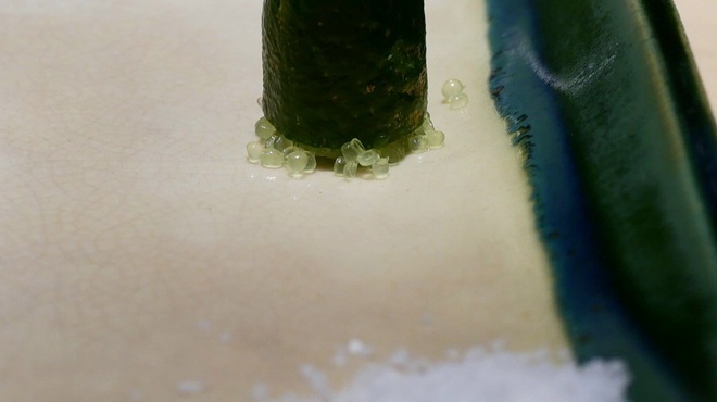 天ぷら成 - 料理写真: