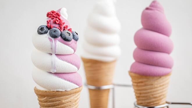 ダブルフォーアパートメント - メイン写真: