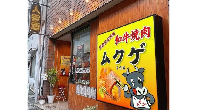 ムクゲ - メイン写真: