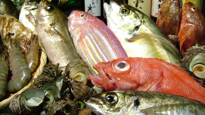 博多 なぎの木 - メイン写真: