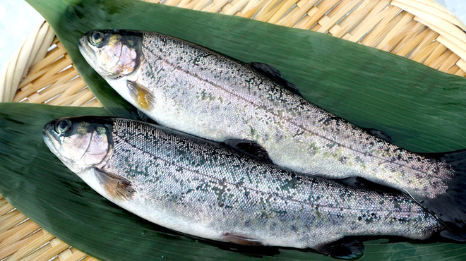 築地魚場 リトル築地場外 - メイン写真:
