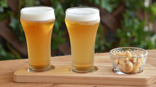 和風ラザニア専門店 Y - メイン写真: