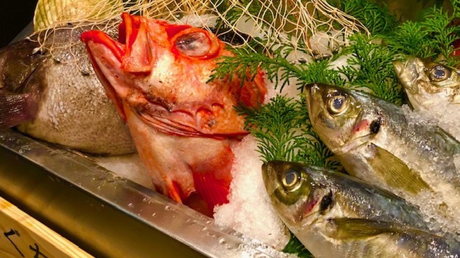 三陸鮮魚と炭焼牛たん かっこ - メイン写真: