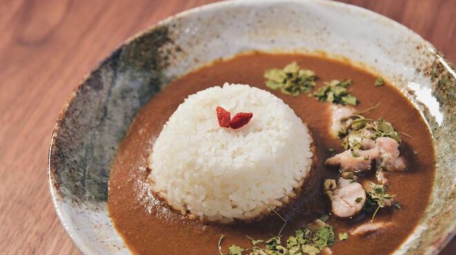 麻布十番 薬膳カレー 新海 - メイン写真: