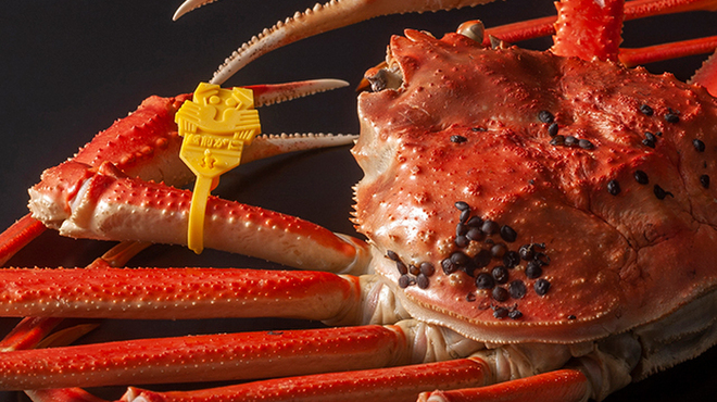 恵比寿 蟹よし - 料理写真: