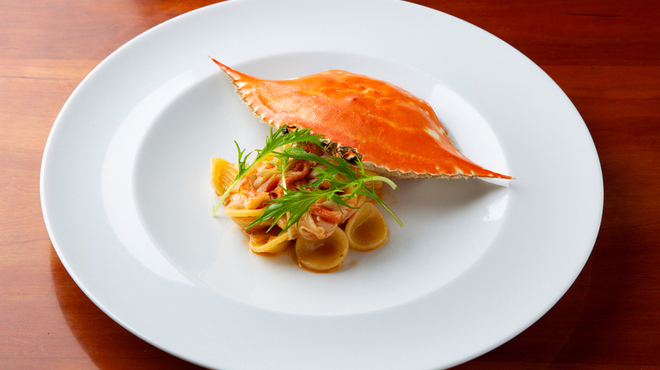 ルカ - メイン写真: