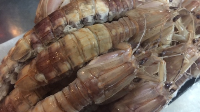 岡山料理専門店～cooking　of　art　Ikiya～ - 料理写真: