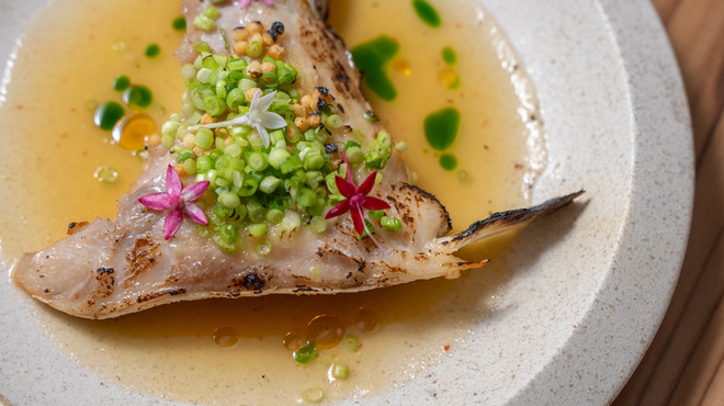 CENSU - メイン写真: