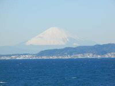 漁師料理 かなや - メイン写真: