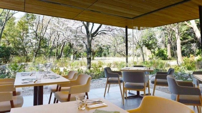 TEIEN Restaurant comodo - メイン写真: