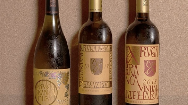 すぎのこ - ドリンク写真: