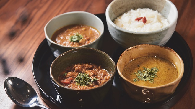 麻布十番 薬膳カレー 新海 - メイン写真: