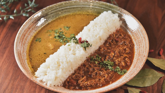 麻布十番 薬膳カレー 新海 - メイン写真: