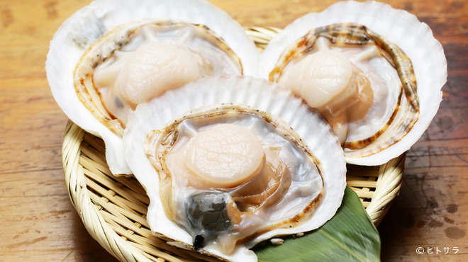 三陸居酒屋 漁火 - 料理写真:宴会の盛り上げに欠かせない、飲み放題付きの宴会コース