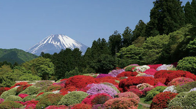 つつじの茶屋 - 外観写真:庭園からは富士山が見えます。