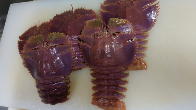 海鮮中国料理黄河 - 料理写真:三河産うちわ海老