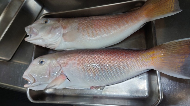 海鮮中国料理黄河 - 料理写真:白甘鯛