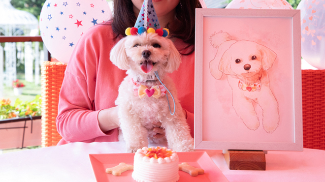 カフェ・スコーラ - メイン写真: