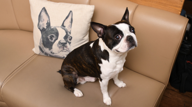 Sound Bar LiP - メイン写真: