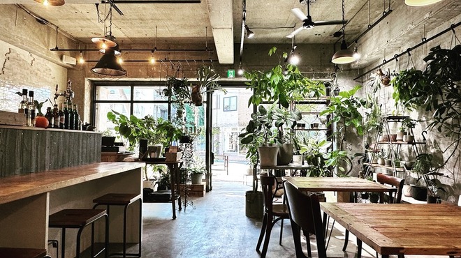 VEGE-PLANT CAFE BAR LEBRO - メイン写真: