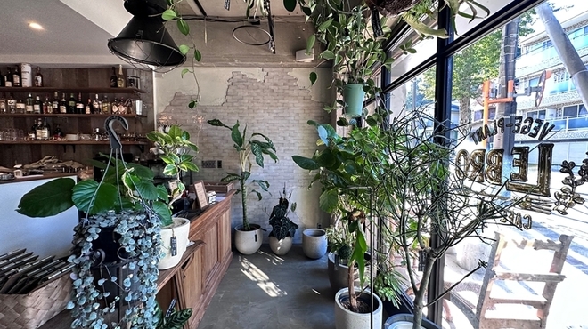 VEGE-PLANT CAFE BAR LEBRO - メイン写真: