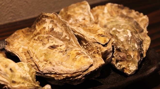 呑むきんちゃん - メイン写真: