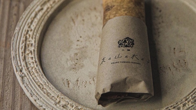 裏の山の木の子 - メイン写真: