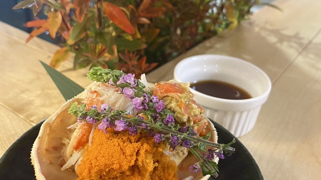 コNOコNOコ - メイン写真: