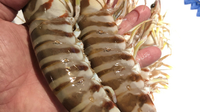 料理屋 ゆう香 - メイン写真: