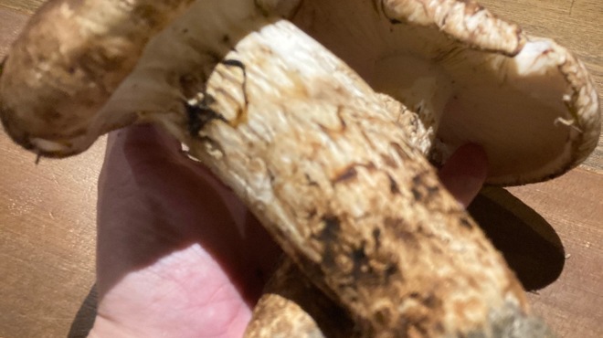 料理屋 ゆう香 - メイン写真: