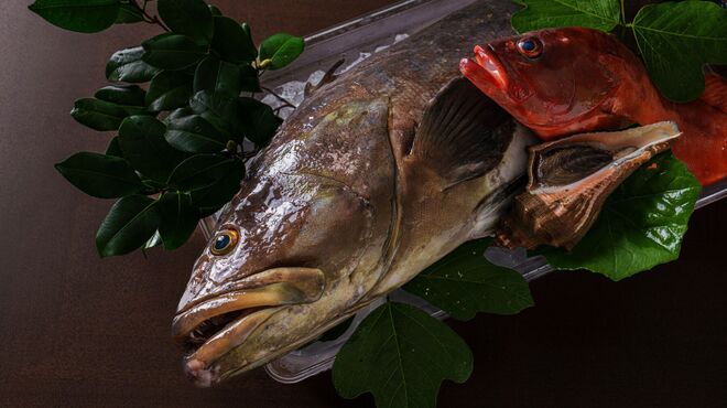 ray dining - 料理写真: